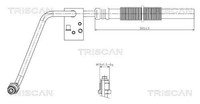 Hydraulikschlauch, Lenkung Triscan 8516 29066 FüR OE 191 422 891 - 191 422 891