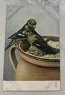The Knight Series, No 1352, In Clover Postcard