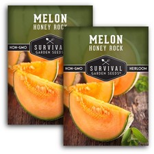 - Honey Rock Melon Seed for Planting - 2 Packets with Instructions to Plant a...