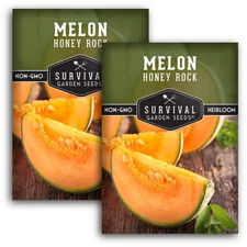 - Honey Rock Melon Seed for Planting - 2 Packets with Instructions to Plant a...