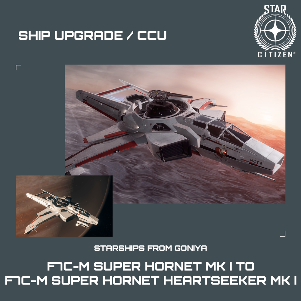 F7C-M Super Hornet Heartseeker with paint (the pin-up is currently bugged) : r/starcitizen