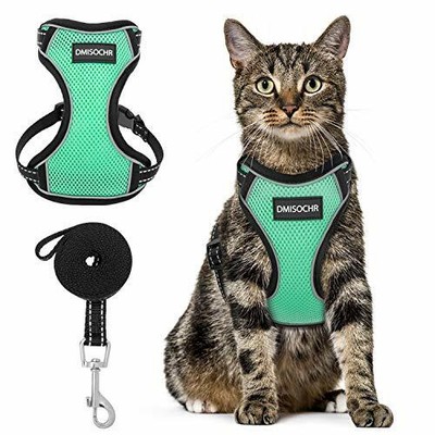 safe cat harness