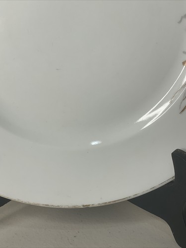 Antique Thun Klosterle HP Dinner Plate flowers and butterflies 9.5” - Picture 6 of 8