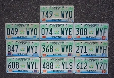 Bulk LOT OF 10 MISSISSIPPI LICENSE PLATES - Magnolia Graphic License Plate Tags