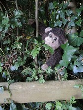 Photo A3 Not a troll but a chimp Upper Stanton Drew The footbridge at th c2021