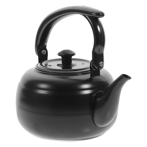 1L Stainless Steel Tea Kettle Alcohol Stovetop Teapot with Removable Infuser