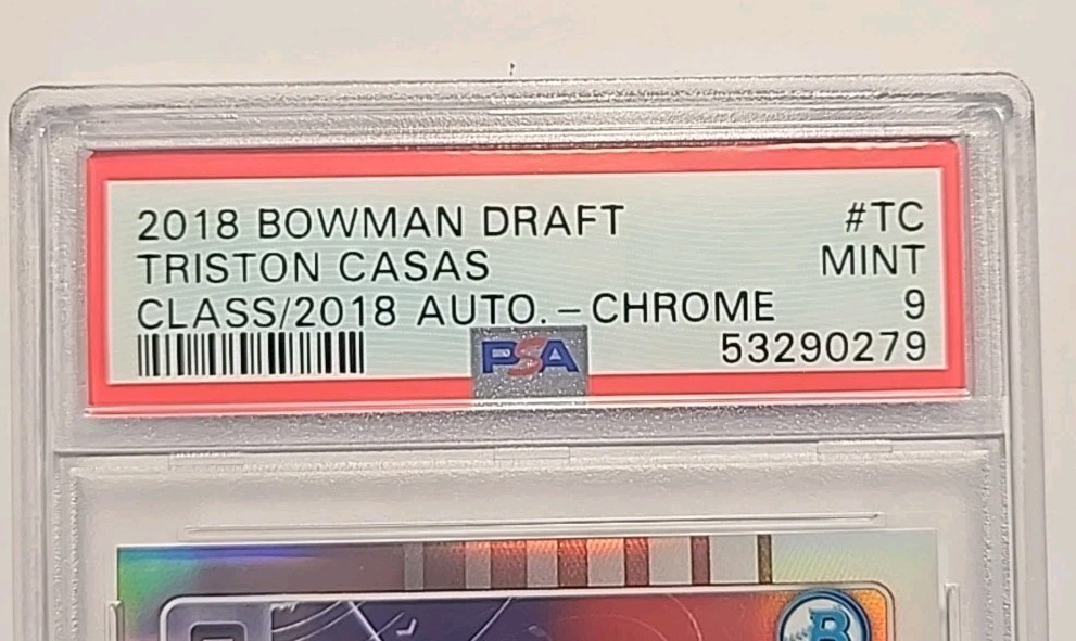 Zdjęcie 3 z 6