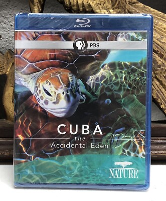 Accidental oops in bikinis - keepvolf