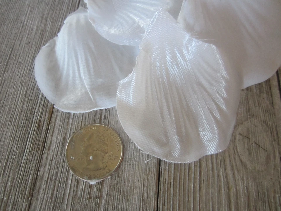 White Silk & White Lace Rose Petals Wedding Flower Girl Party Special Occasion - Image 4 of 4