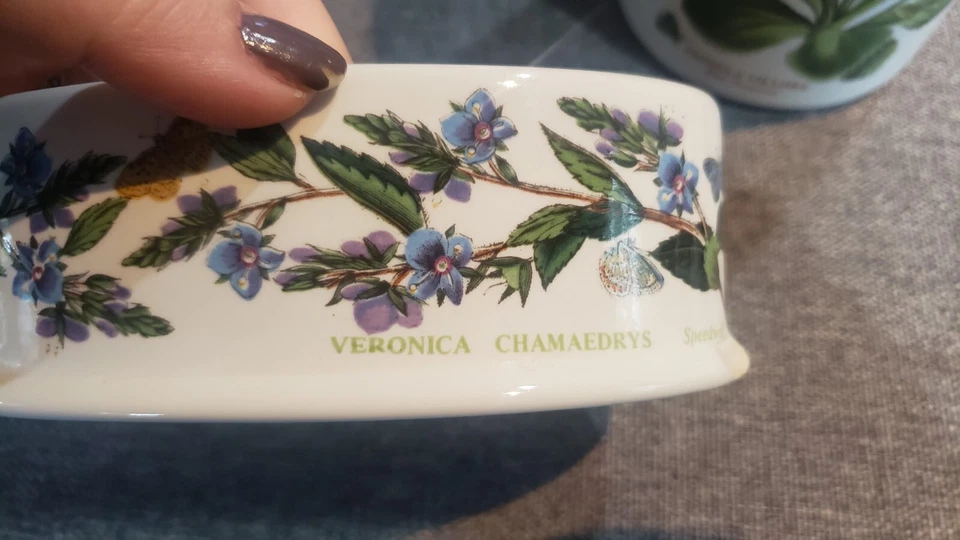 Porta cepillo de dientes Portmeirion Botanic Garden Primula Canister Veronica usado Foto 3 de 4