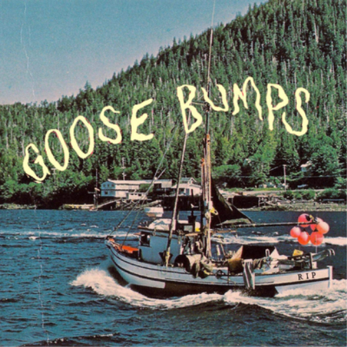 Boyscott Goose Bumps (CD) Album