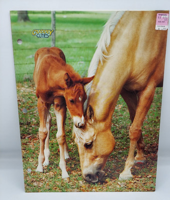 1990's Cuddly Cuties Horses Double Pocket School Folder