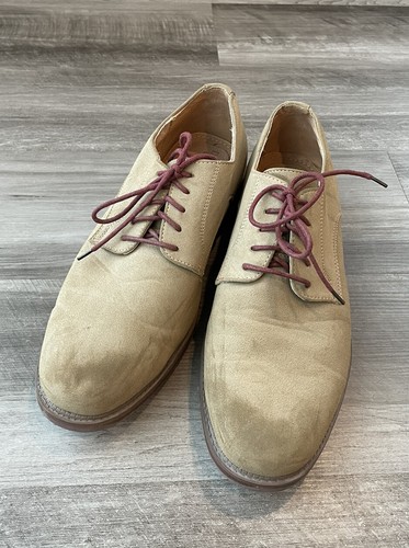 dexter suede shoes