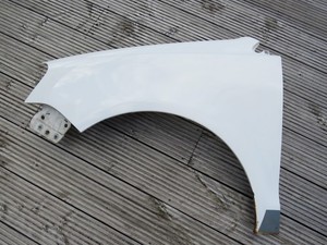 VW Polo 9N3 9N 9N1 Kotflügel Candyweiß LB9A links