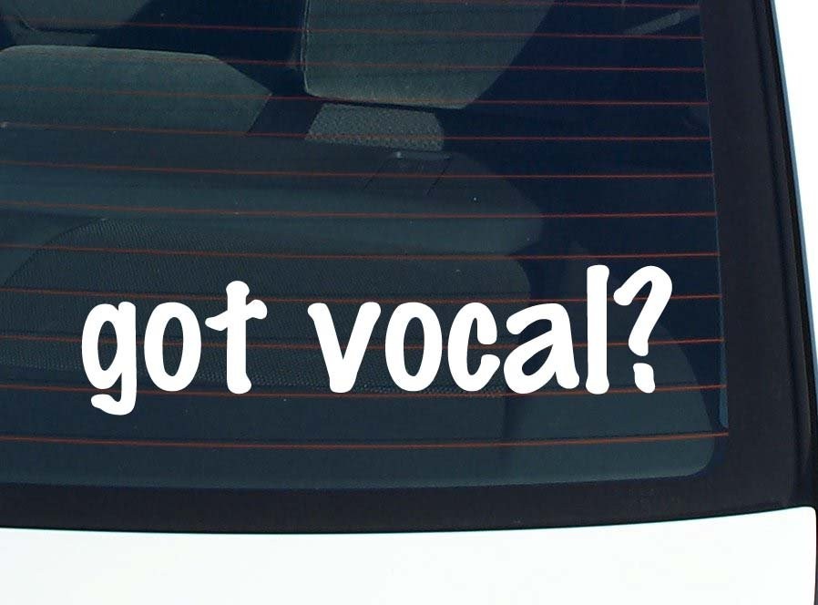 Got Vocal Car Decal Funny Bumper Sticker Vinyl Window Joke