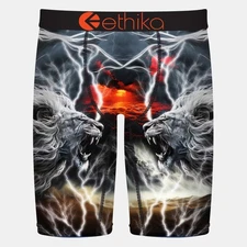Ethika Underwear Boys Staple Fit Boxer Brief - LION STRIKE