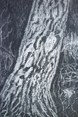 Aquatinta-Radierung „Baumrinde“, original signiert T. Ehmke, 2024 - Bild 1 von 4