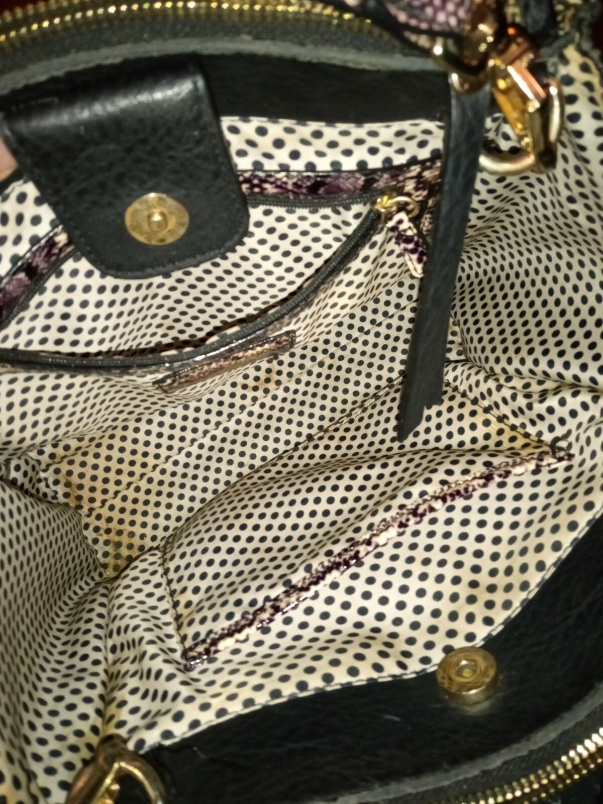 Gianni Bini Python Leather medium Purse snake Ski… - image 6