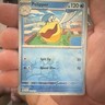 Pokémon Pelipper Sv09 Journey Together 039/159 120 HP Uncommon Reverse Holo