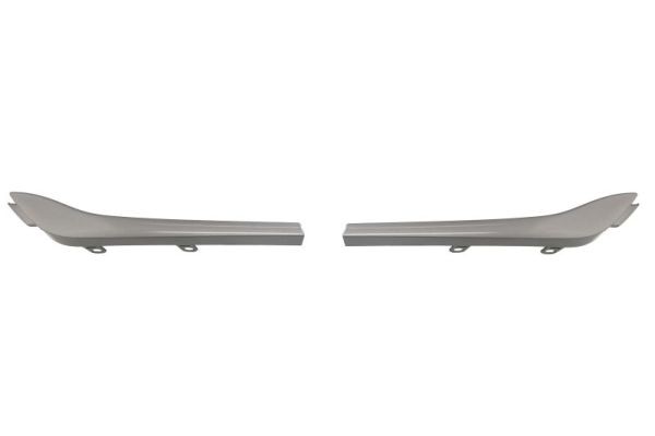 BLIC 6502-07-6011991PQ Trim/Protection Strip, radiator grille for RENAULT
