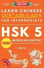 Learn Chinese Vocabulary for Intermediate: New HSK Level 5 Chinese Vocabulary Bo