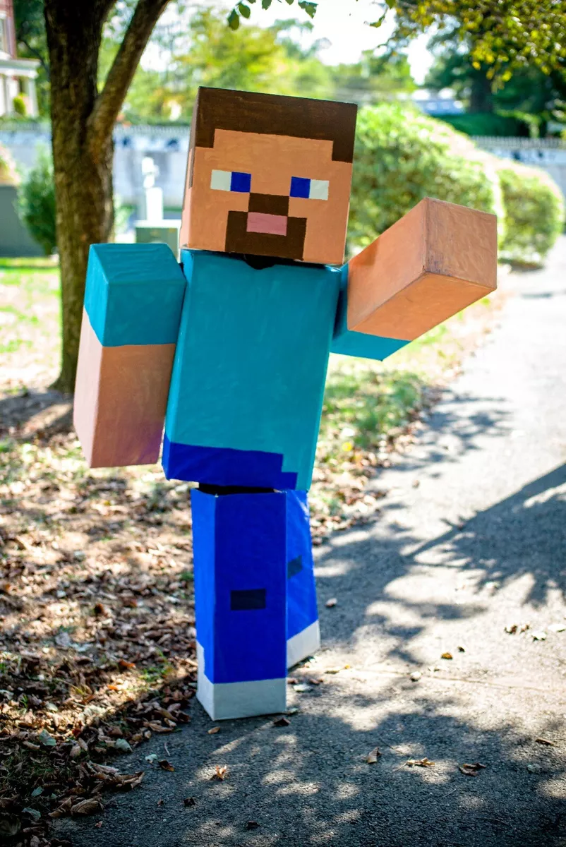 Minecraft Costume Steve Alex Creeper Mario and more! Halloween mascot  cosplay