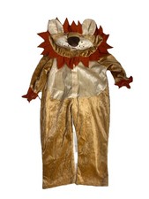 Lion Halloween Costume Size 2/3T Full Body Suit With Hood Velour Warm Zoo Animal
