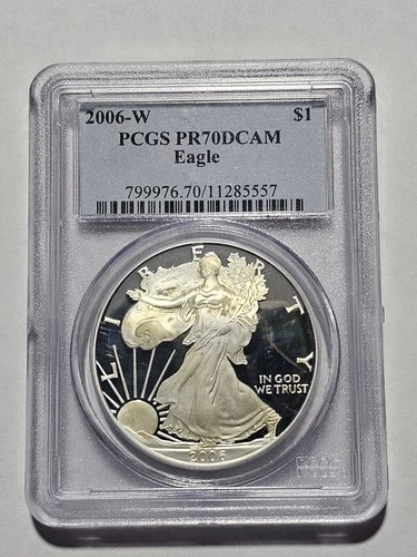 2006-W American Silver Eagle Proof — photo from another recent sale