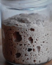 ORIGINAL WHARF SAN FRANCISCO SOURDOUGH STARTER yeast bread flour VERY ACTIVE