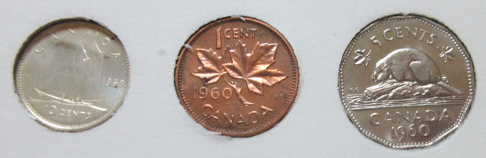Picture 5 of 8