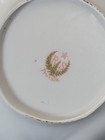 2 Porcelain Plates RS Prussia Vtg Floral Germany Reinhold Schlegelmilch Scallop — photo 9