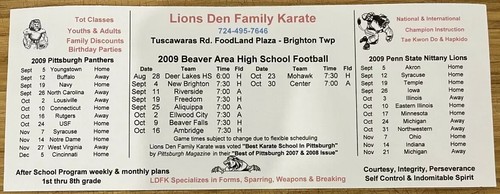 SELTENE VERSION 2009 Pittsburgh Steelers NFL & College Football Spielplan Lions Den - Bild 2 von 2