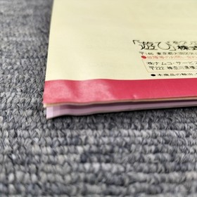 Namco Melhen Maze PC Engine Software