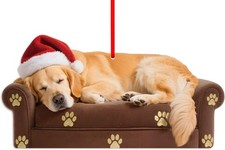Sleepy Golden Retriever Ornament - 3.54''x1.8'' Acrylic Dog Ornament for
