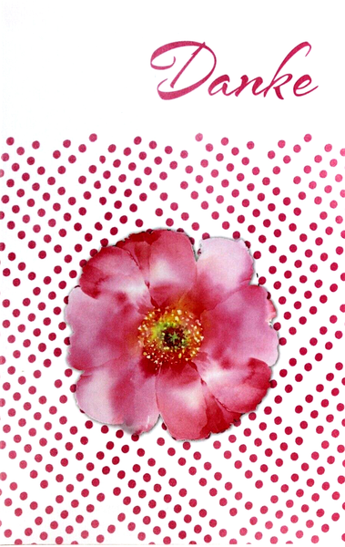 Danksagungskarte FüR Frauen Karte Dankeskarte Herzlichen Dank GrußKarte Danke-image
