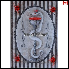 painting contemporary art esoteric symbol alchemy medicine pharmacy snake cup by