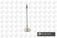 Auslassventil BGA V969611 FüR VW UP 121 122 BL1 BL2 BL3 123 Polo 5 6R1 6C1 Load