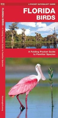 Florida Birds: A Folding Pocket Guide to Familiar Species by James Kavanagh (Eng