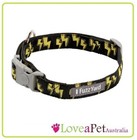 FuzzYard Dog Collar - Small / Medium / Large - Assorted Colours and Patterns