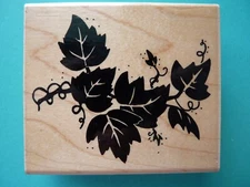Ivy Vine JRL DESIGN Rubber Stamp