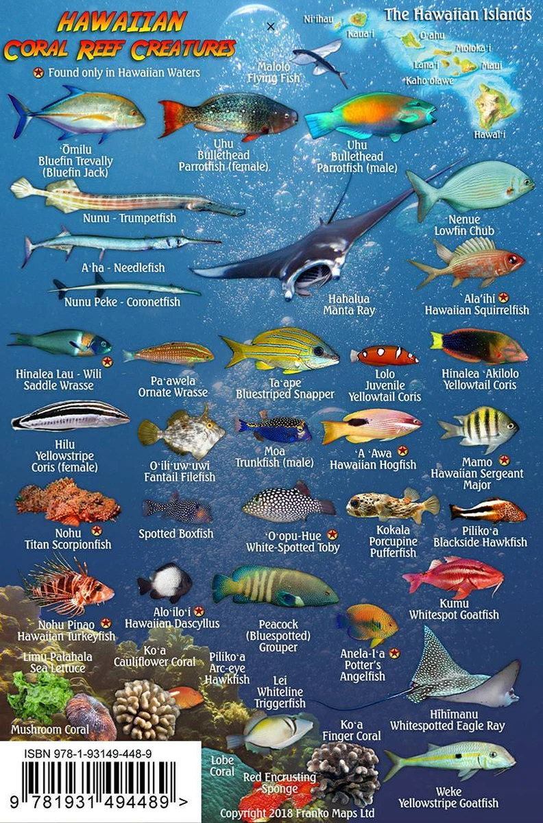 Hawaiian fish hotsell