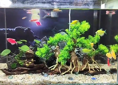Fish Tank Setup With Artificial Plants: Easy, Stunning, and Low-Maintenance