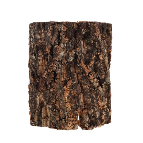  Escondite de reptiles: Gecko de madera hábitat decoración de cueva tortuga tronco de árbol hueco - Imagen 7 de 17