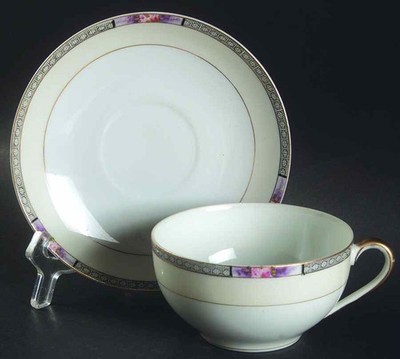 Noritake Seville Cup & Saucer 465436