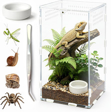 Jumping Spider Enclosure, Acrylic Reptile Terrarium Habitat, Tarantula Enclosure