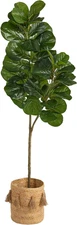 5.5Ft. Fiddle Leaf Fig Artificial Tree in Handmade Natural Jute Planter with Tas