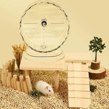 1pc Silent Hamster Running Wheel Transparent Small Pet Toy  Pets Accessories