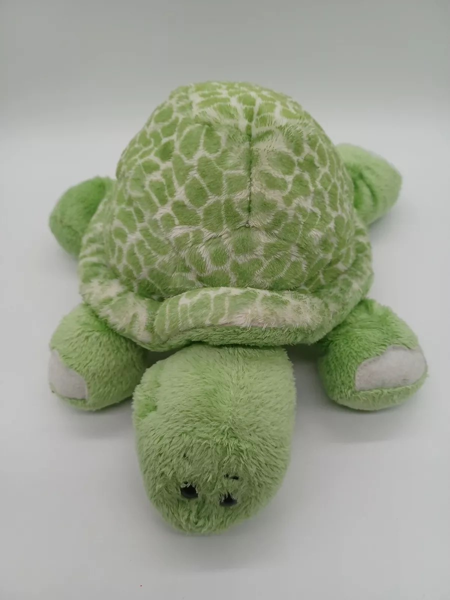 Webkinz turtle cheap
