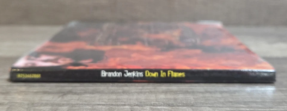 Sealed-Rare-Brandon Jenkins-Down In Flames-Rock CD-2004 WSR 8253462868 - Image 3 of 3