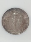 Picture 2 of 6